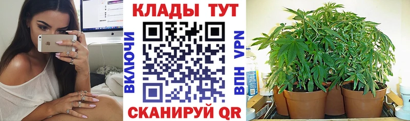 Купить наркоту Тутаев Канабис Меф A-PVP АМФ ГАШ